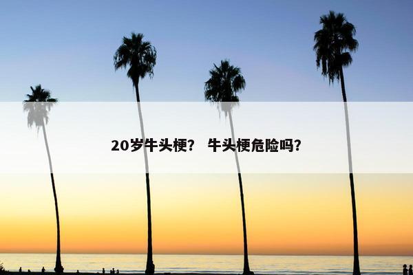 20岁牛头梗？ 牛头梗危险吗？