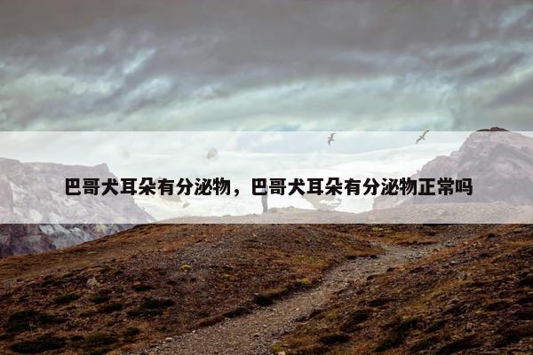 巴哥犬耳朵有分泌物，巴哥犬耳朵有分泌物正常吗