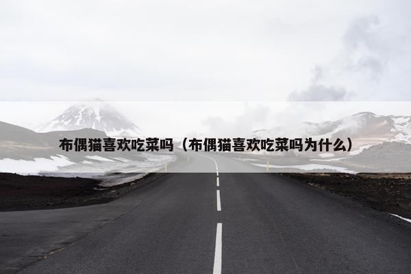 布偶猫喜欢吃菜吗（布偶猫喜欢吃菜吗为什么）