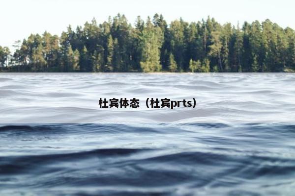 杜宾体态（杜宾prts）
