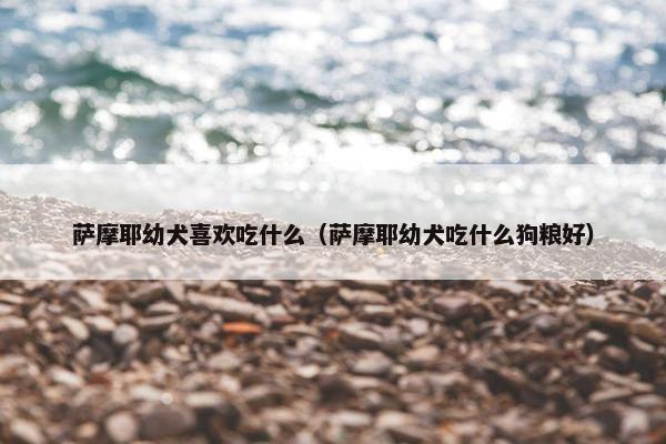 萨摩耶幼犬喜欢吃什么（萨摩耶幼犬吃什么狗粮好）