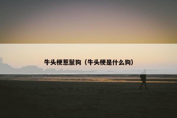 牛头梗惹鬣狗（牛头梗是什么狗）