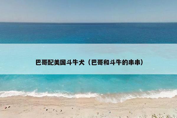 巴哥配美国斗牛犬（巴哥和斗牛的串串）
