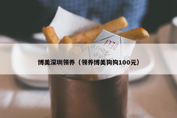 博美深圳领养（领养博美狗狗100元）
