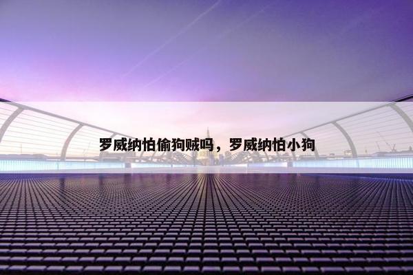 罗威纳怕偷狗贼吗，罗威纳怕小狗