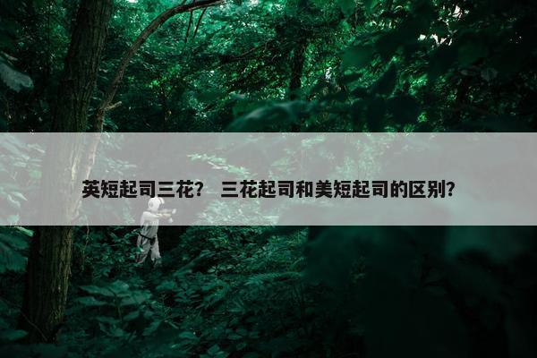英短起司三花？ 三花起司和美短起司的区别？