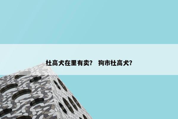 杜高犬在里有卖？ 狗市杜高犬？
