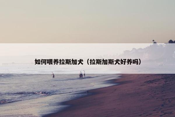 如何喂养拉斯加犬（拉斯加斯犬好养吗）