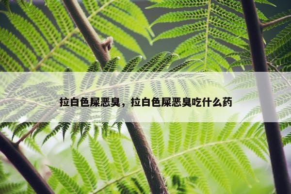 拉白色屎恶臭，拉白色屎恶臭吃什么药