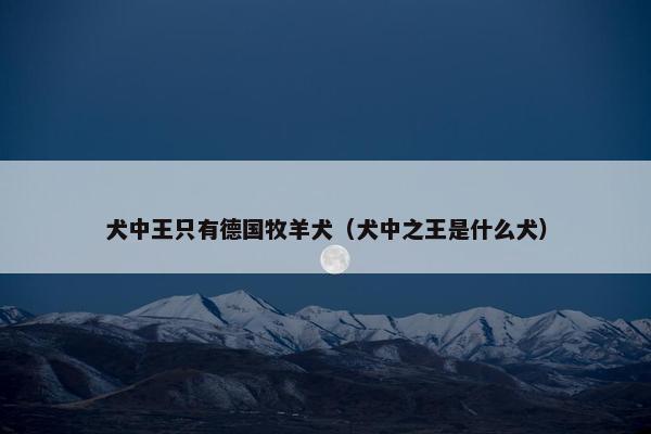 犬中王只有德国牧羊犬（犬中之王是什么犬）