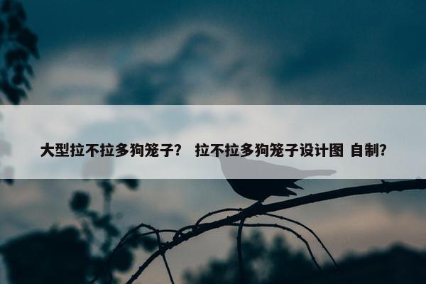 大型拉不拉多狗笼子？ 拉不拉多狗笼子设计图 自制？