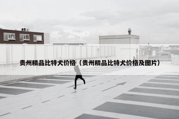 贵州精品比特犬价格（贵州精品比特犬价格及图片）
