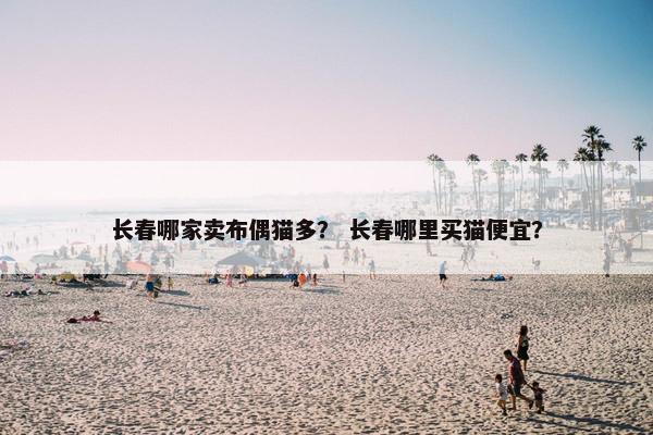 长春哪家卖布偶猫多？ 长春哪里买猫便宜？