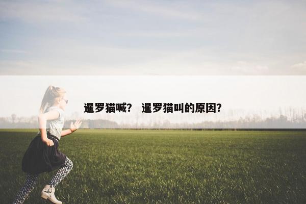 暹罗猫喊？ 暹罗猫叫的原因？