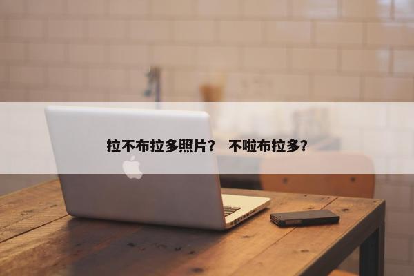 拉不布拉多照片？ 不啦布拉多？