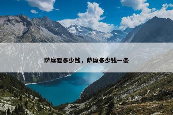 萨摩要多少钱，萨摩多少钱一条
