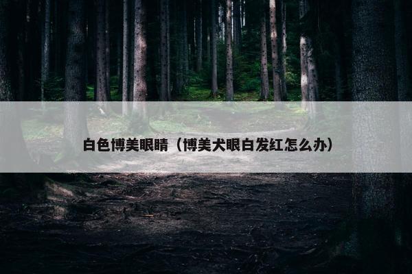 白色博美眼睛（博美犬眼白发红怎么办）