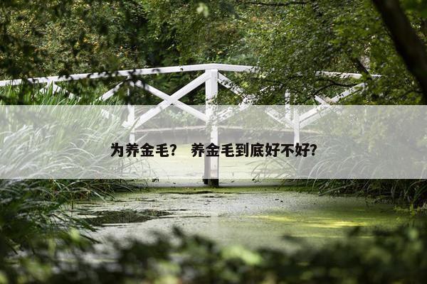 为养金毛？ 养金毛到底好不好？