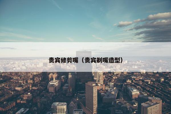 贵宾修剪嘴（贵宾剃嘴造型）