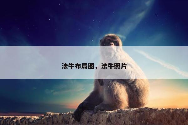 法牛布局图，法牛照片