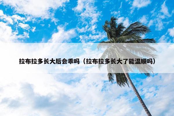 拉布拉多长大后会乖吗（拉布拉多长大了能温顺吗）