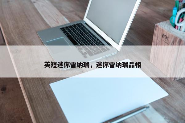 英短迷你雪纳瑞，迷你雪纳瑞品相