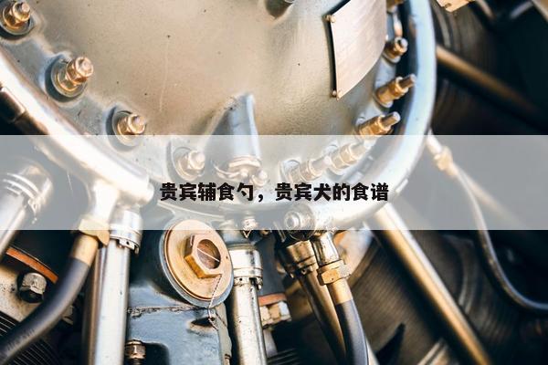 贵宾辅食勺，贵宾犬的食谱