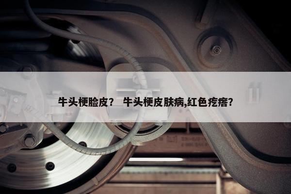牛头梗脸皮？ 牛头梗皮肤病,红色疙瘩？