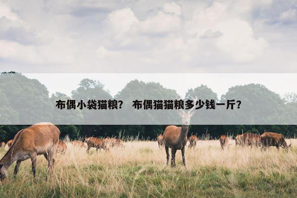 布偶小袋猫粮？ 布偶猫猫粮多少钱一斤？