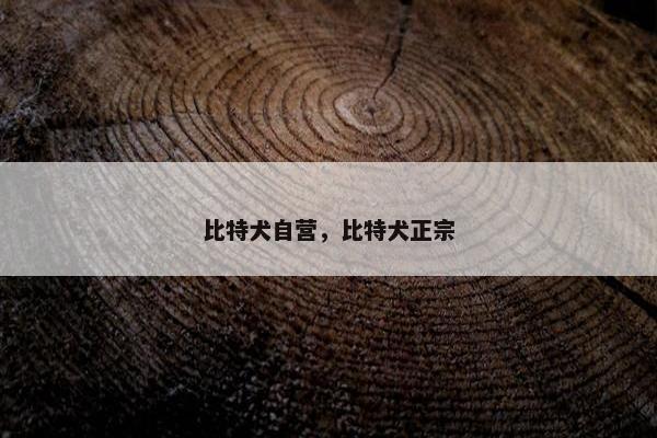 比特犬自营，比特犬正宗