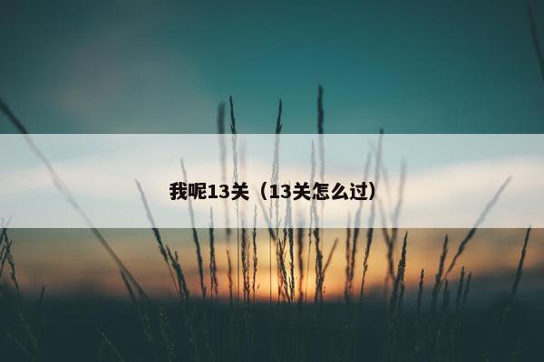 我呢13关（13关怎么过）