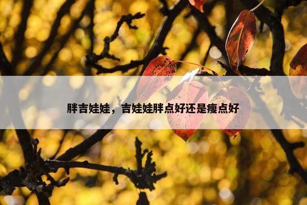 胖吉娃娃，吉娃娃胖点好还是瘦点好