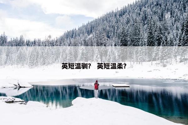英短温驯？ 英短温柔？