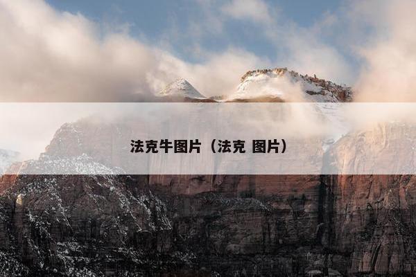 法克牛图片（法克 图片）