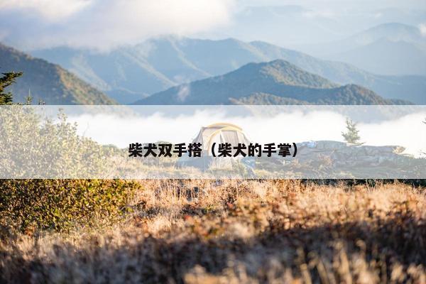 柴犬双手搭（柴犬的手掌）