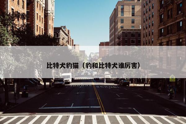 比特犬豹猫（豹和比特犬谁厉害）