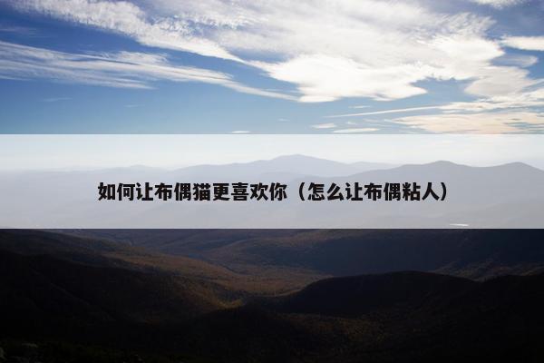 如何让布偶猫更喜欢你（怎么让布偶粘人）