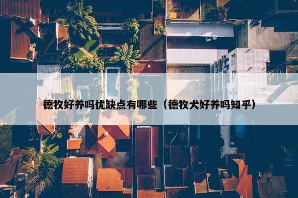 德牧好养吗优缺点有哪些（德牧犬好养吗知乎）