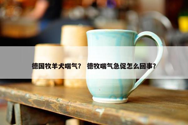 德国牧羊犬喘气？ 德牧喘气急促怎么回事？