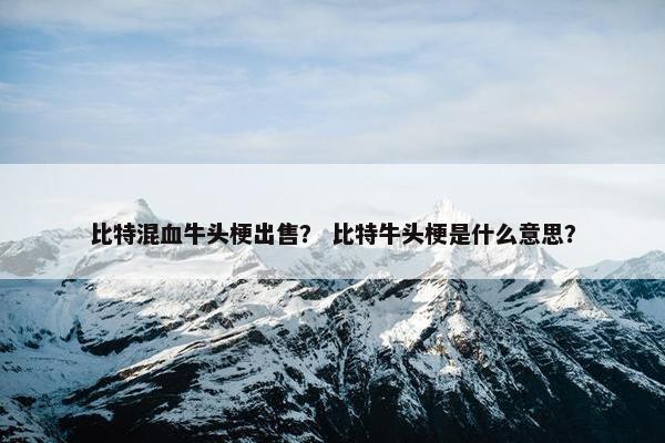 比特混血牛头梗出售？ 比特牛头梗是什么意思？