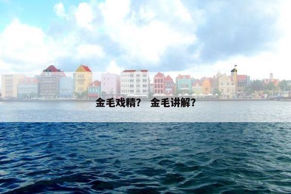 金毛戏精？ 金毛讲解？