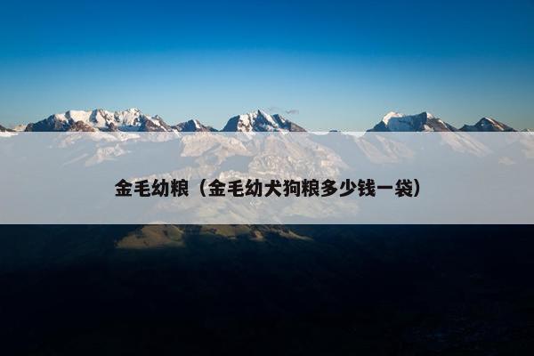 金毛幼粮（金毛幼犬狗粮多少钱一袋）