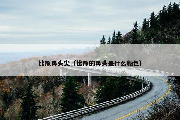 比熊鼻头尖（比熊的鼻头是什么颜色）