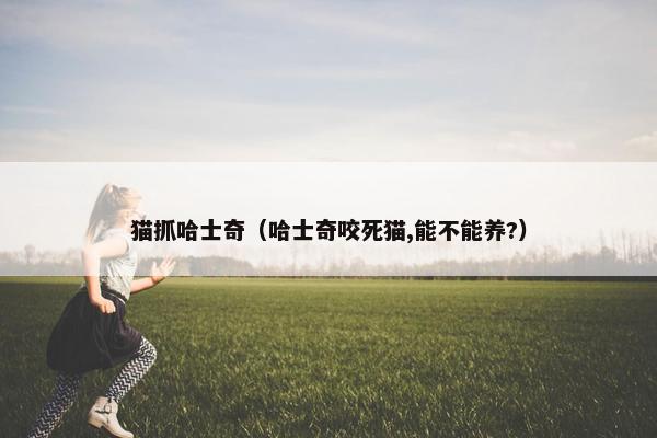 猫抓哈士奇（哈士奇咬死猫,能不能养?）