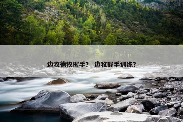 边牧德牧握手？ 边牧握手训练？