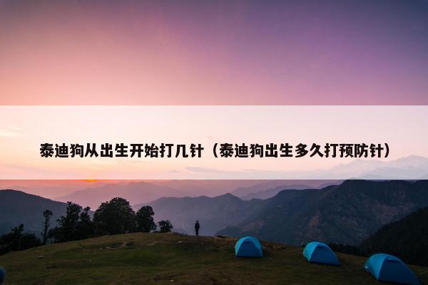 泰迪狗从出生开始打几针（泰迪狗出生多久打预防针）