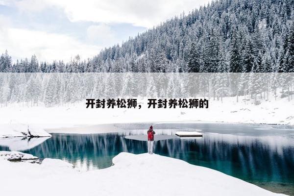 开封养松狮，开封养松狮的
