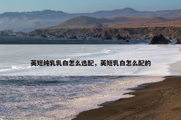 英短纯乳乳白怎么选配，英短乳白怎么配的