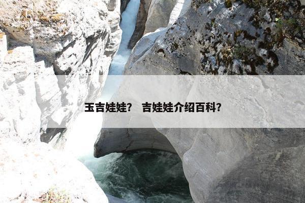 玉吉娃娃？ 吉娃娃介绍百科？