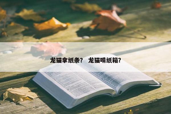 龙猫拿纸条？ 龙猫啃纸箱？